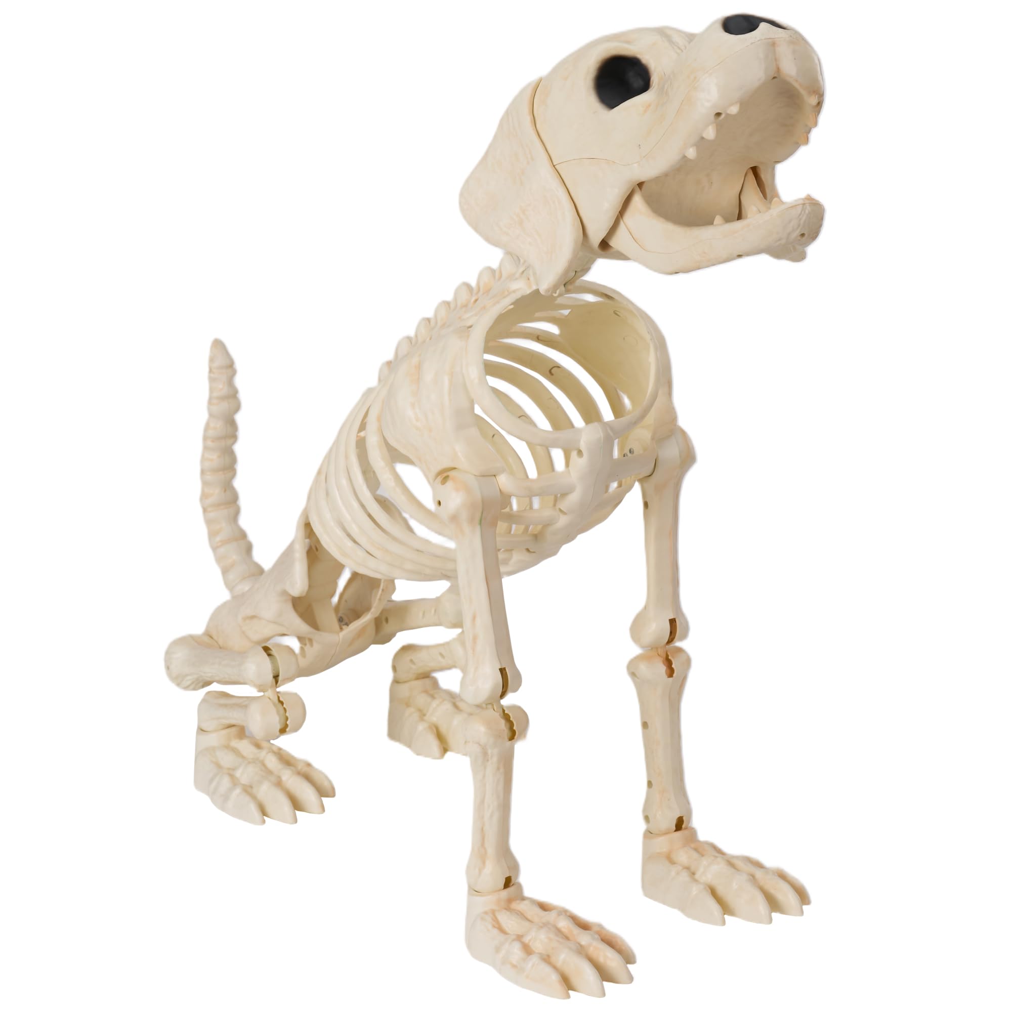 Amazon.com : JOYIN Halloween Golden Retriever Skeleton 34” Animal